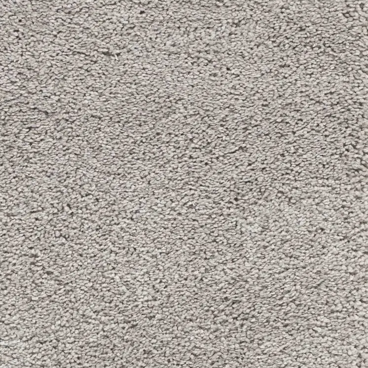 3' X 4' Gray Shag Distressed Area Rug