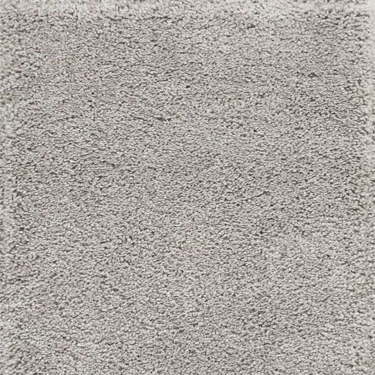 3' X 4' Gray Shag Distressed Area Rug