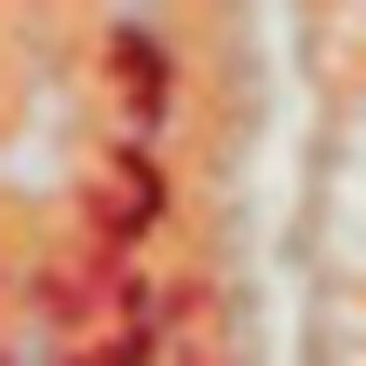 2' X 4' Blue and Red Floral Distressed Non Skid Area Rug
