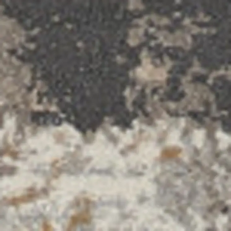 4' X 6' Cream Black and Gray Abstract Area Rug