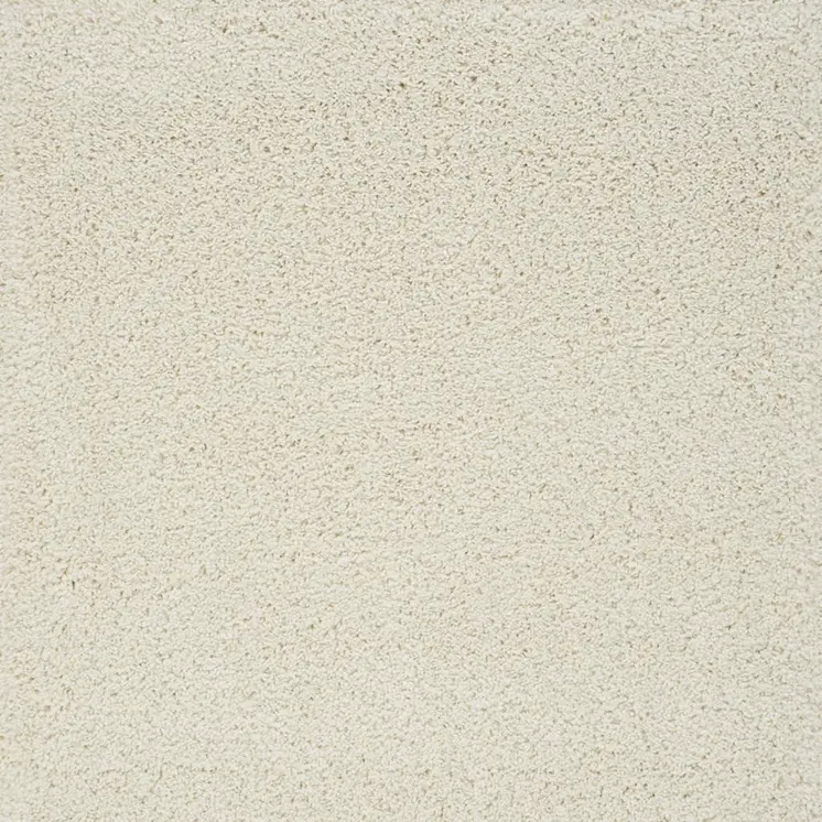 4' X 6' Cream and Gray Medallion Distressed Area Rug