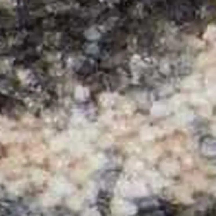 8' X 11' Beige Charcoal and Cream Animal Print Distressed Non Skid Area Rug