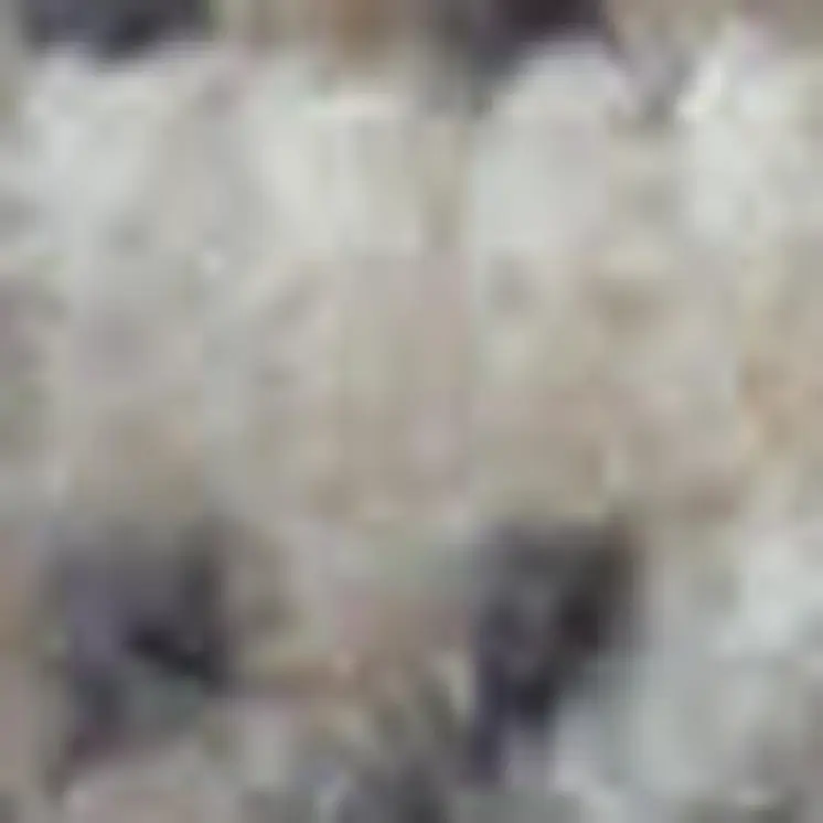 8' Cream and Gray Floral Distressed Runner Rug