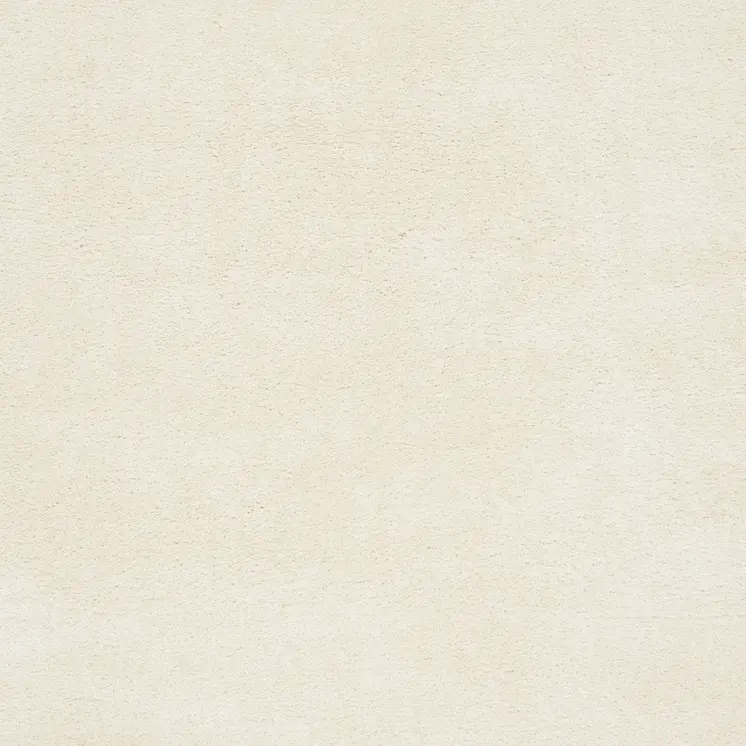 7' X 9' Ivory Shag Area Rug