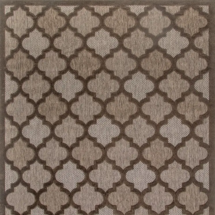 9' X 12' Dark Brown And Light Brown Trellis Indoor Outdoor Area Rug