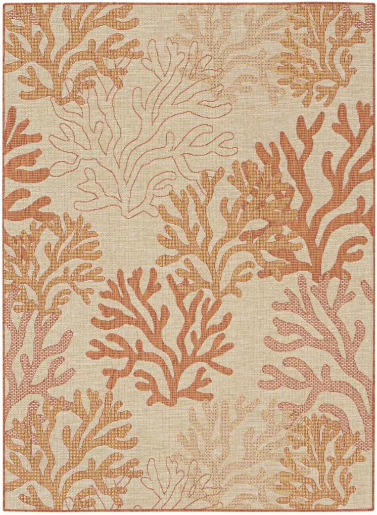 4' X 6' Coral And Beige Nautical Indoor Outdoor Area Rug