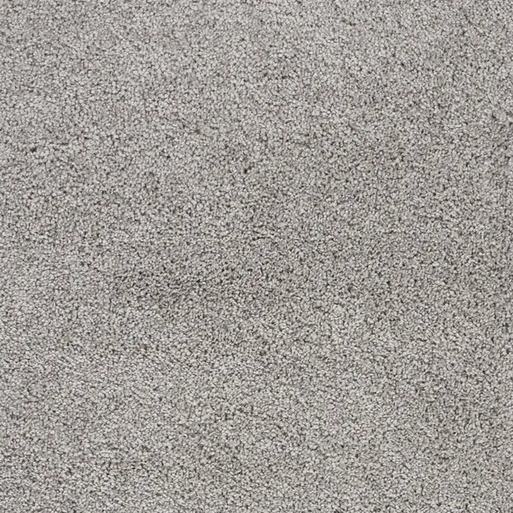 4' X 6' Gray Shag Area Rug