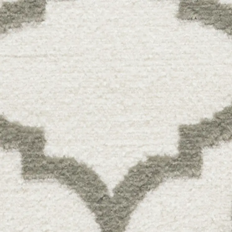 2' X 4' Ivory and Green Trellis Area Rug