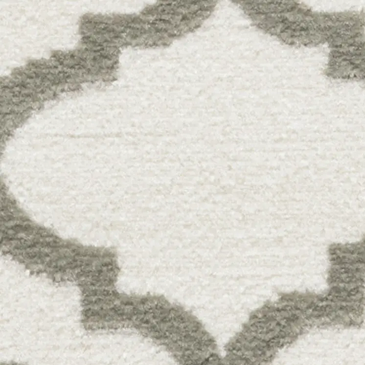 2' X 4' Ivory and Green Trellis Area Rug