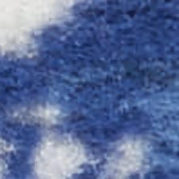 3' X 5' Ivory and Blue Medallion Area Rug