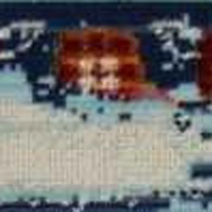 4' X 6' Blue Red And Orange Floral Distressed Area Rug