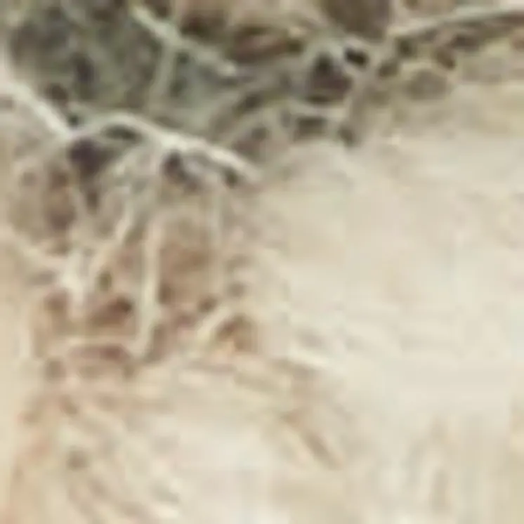 8' X 12' Ivory Brown and Gray Wool Abstract Area Rug