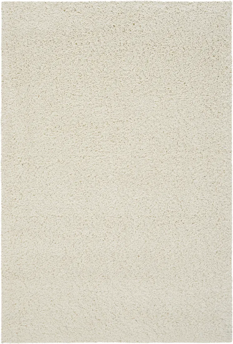 4' X 6' Ivory Shag Area Rug