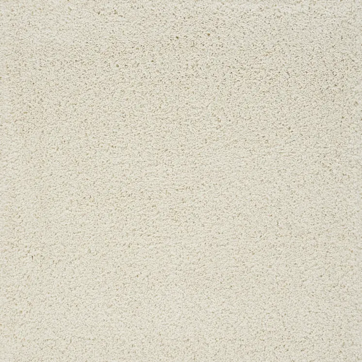 4' X 6' Ivory Shag Area Rug