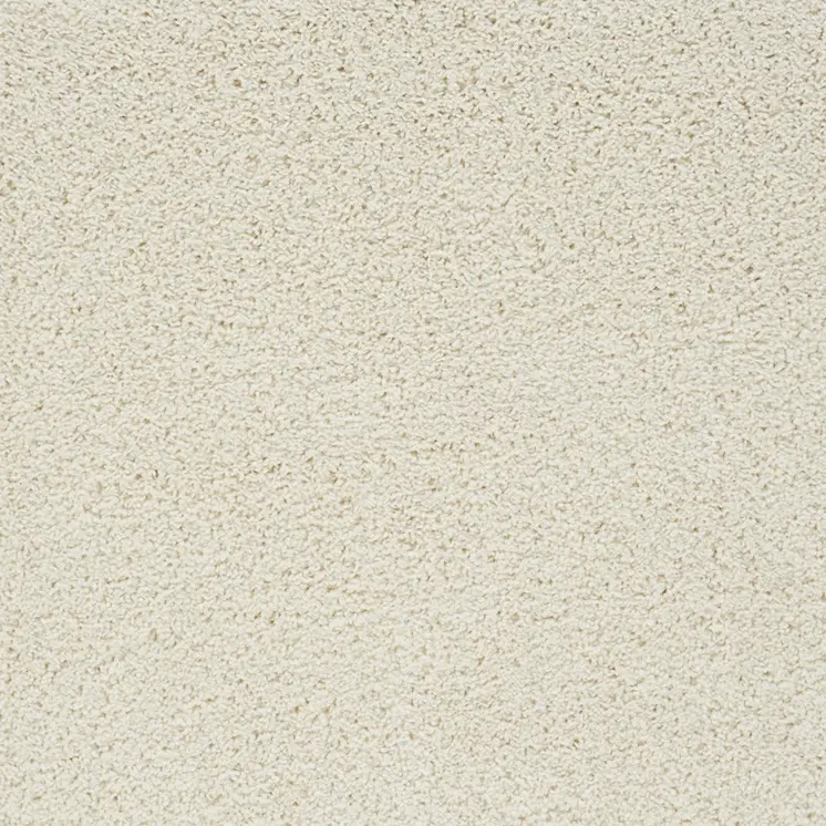 4' X 6' Ivory Shag Area Rug