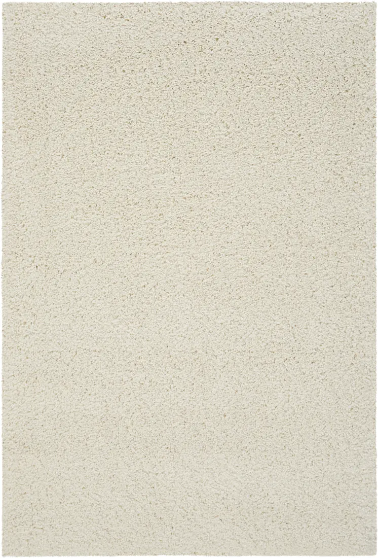 4' X 6' Ivory Shag Area Rug