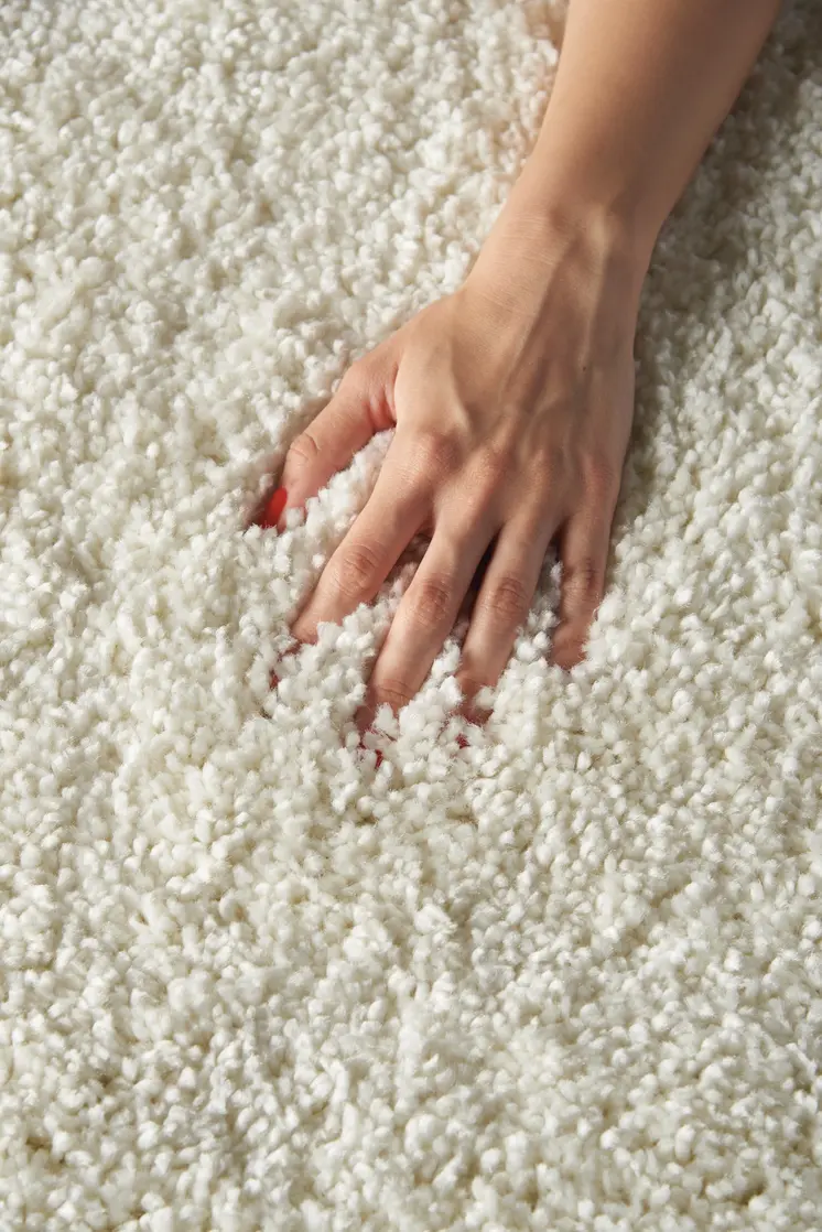 5' X 7' Ivory Shag Area Rug