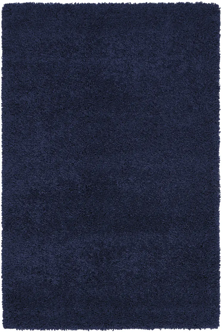 4' X 6' Blue Shag Area Rug