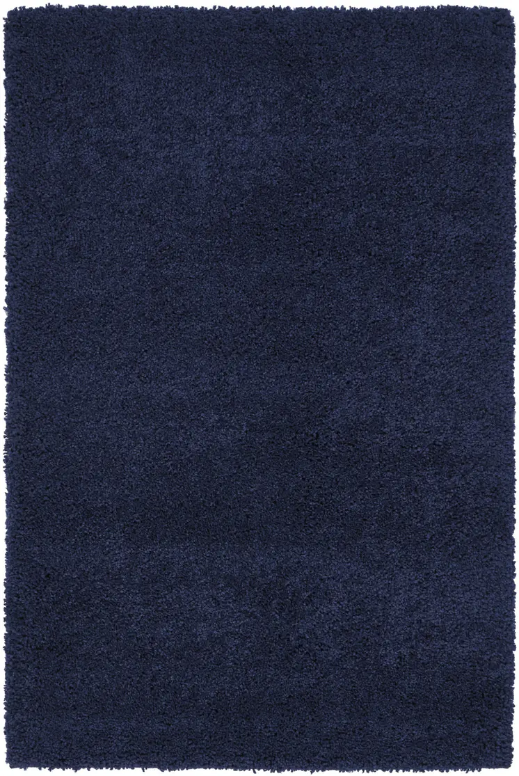4' X 6' Blue Shag Area Rug