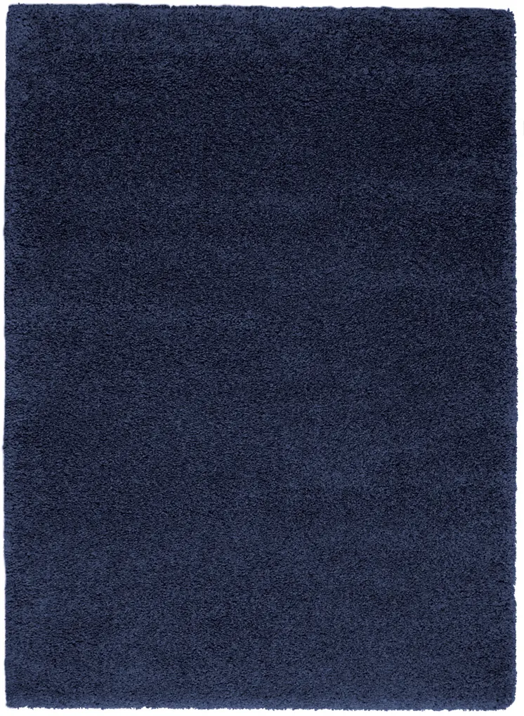 5' X 7' Blue Shag Area Rug