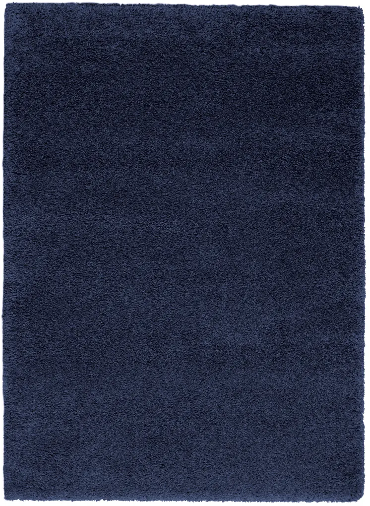 5' X 7' Blue Shag Area Rug