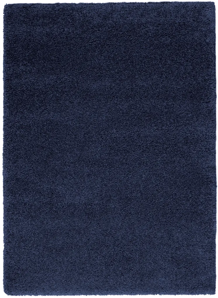 5' X 7' Blue Shag Area Rug