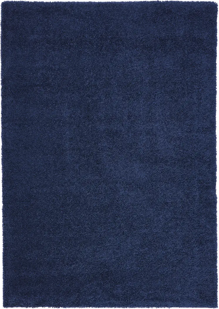 7' X 10' Blue Shag Area Rug