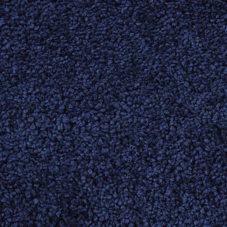 8' X 10' Blue Shag Area Rug