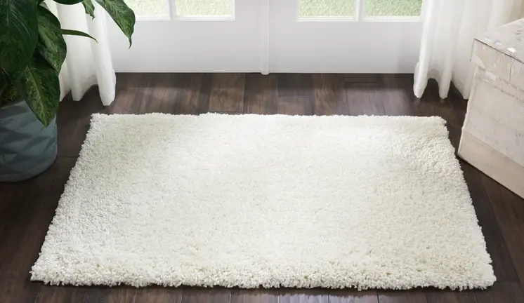 3' X 5' Ivory Shag Distressed Area Rug