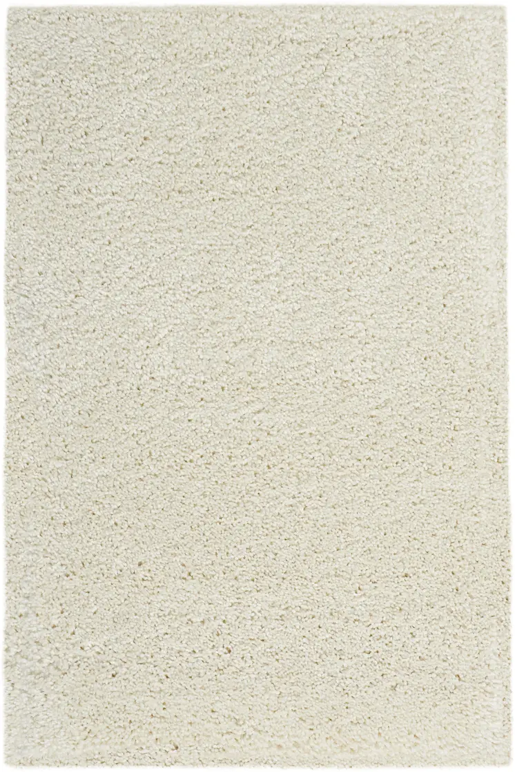 3' X 5' Ivory Shag Distressed Area Rug