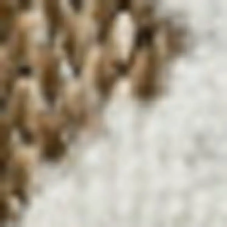 3' X 5' Beige And Brown Geometric Distressed Indoor Outdoor Area Rug