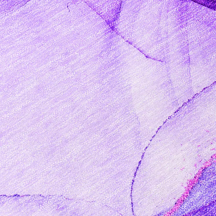 2' X 3' Purple Abstract Washable Non Skid Indoor Outdoor Area Rug