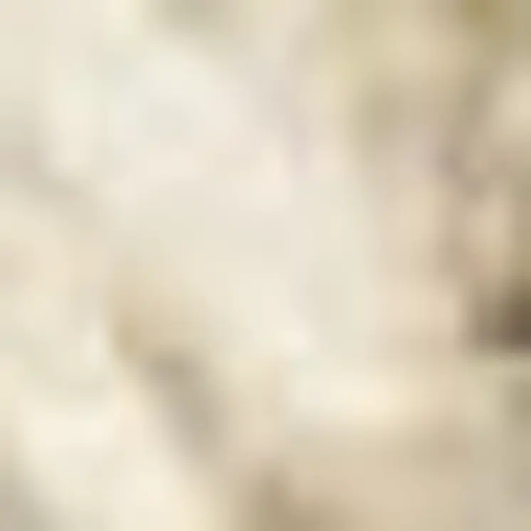 4' X 6' Taupe and Ivory Floral Non Skid Area Rug