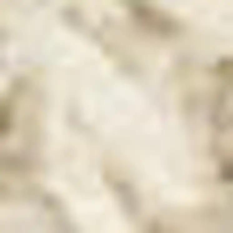 4' X 6' Taupe and Ivory Floral Non Skid Area Rug
