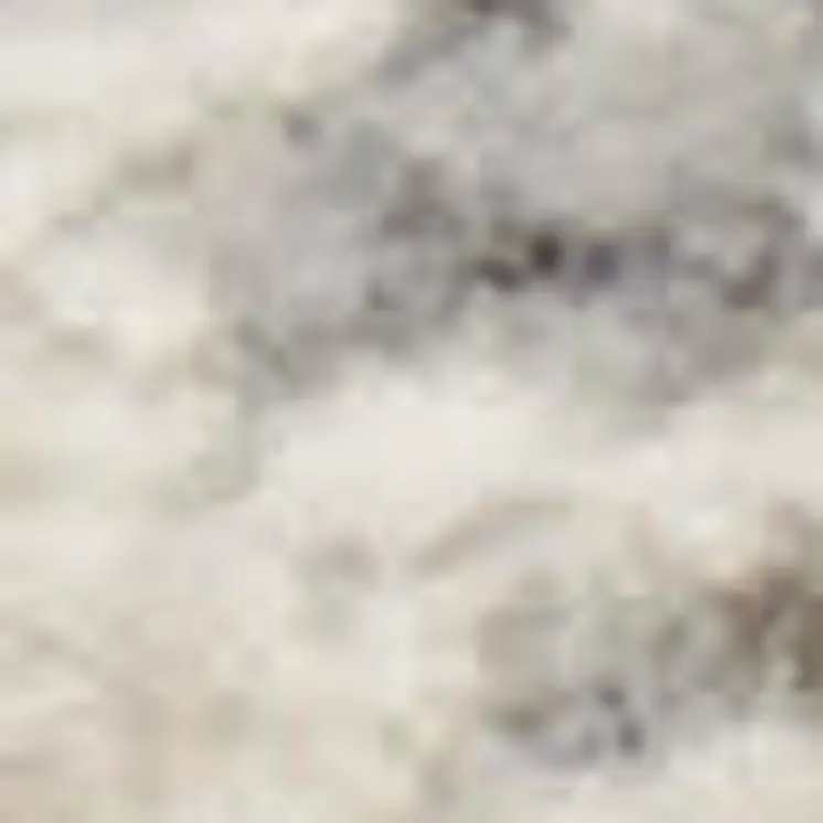6' Gray and Ivory Trellis Non Skid Runner Rug