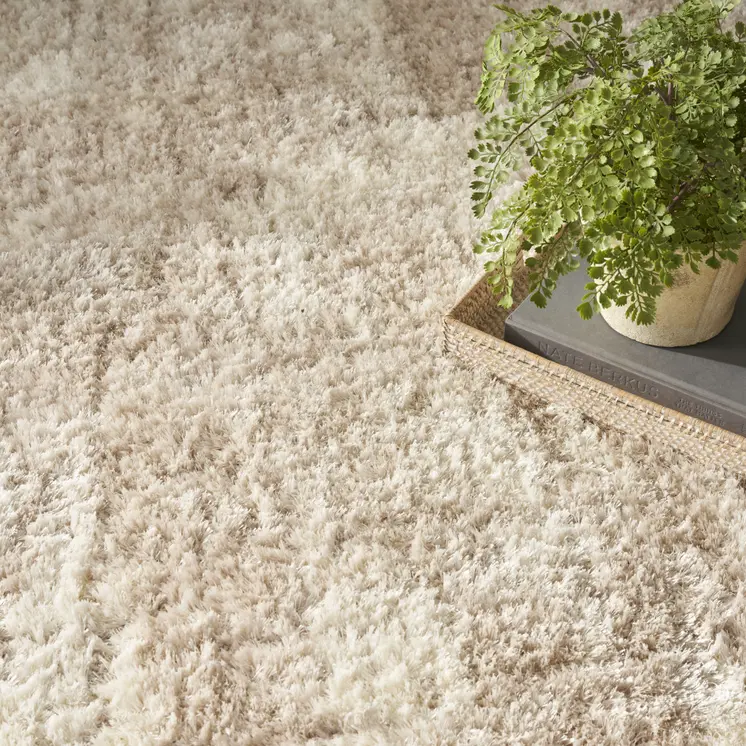 4' X 6' Beige and Ivory Abstract Shag Area Rug