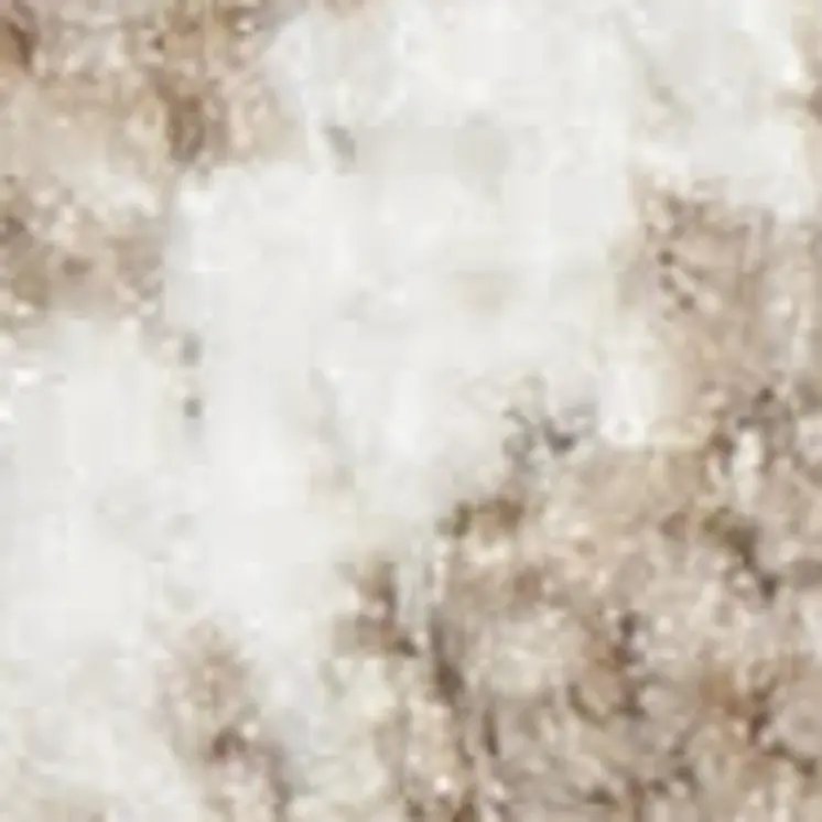 9' X 13' Brown Floral Power Loom Distressed Area Rug With Fringe