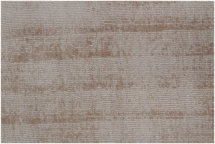 9' X 12' Champagne Hand Loomed Area Rug