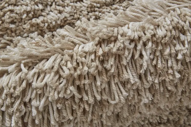 2' X 3' Gray Shag Hand Tufted Area Rug