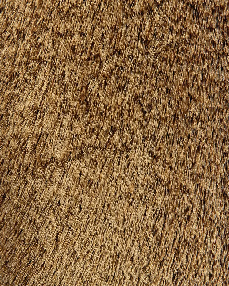 8' X 10' Brown Shag Hand Tufted Area Rug