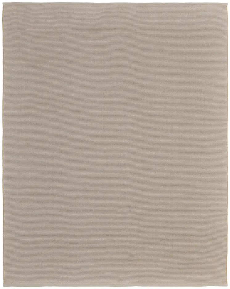 10' X 14' Ivory and Tan Hand Woven Area Rug