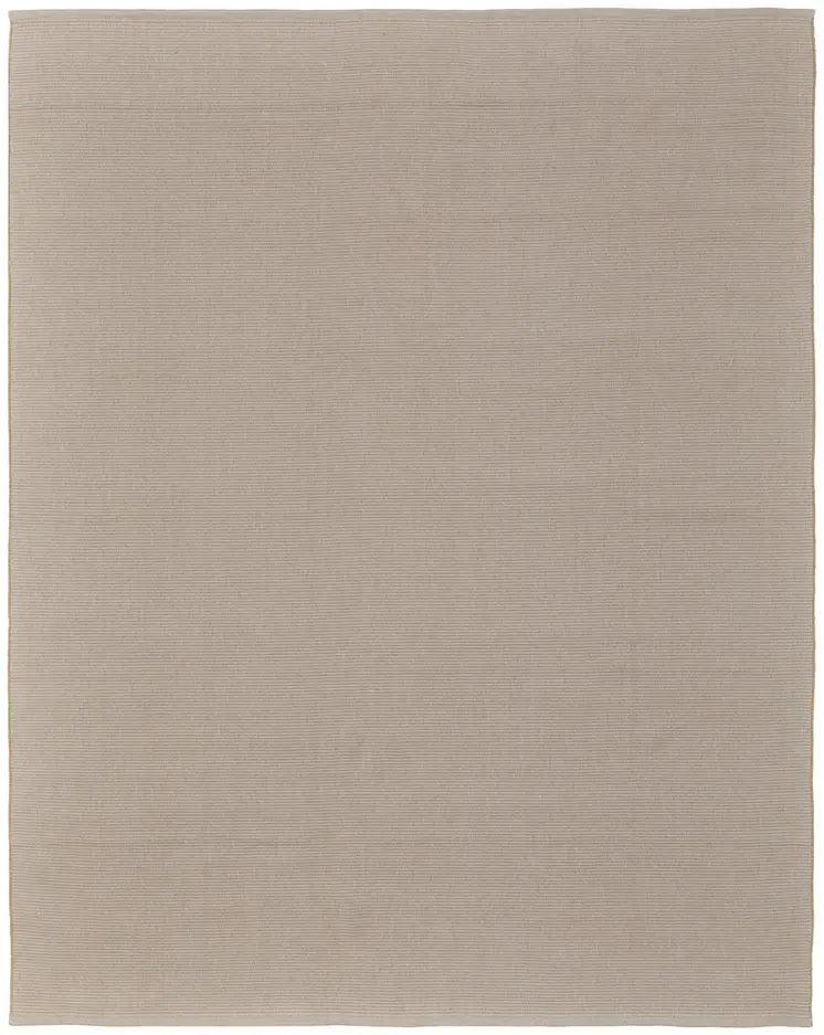 10' X 14' Ivory and Tan Hand Woven Area Rug