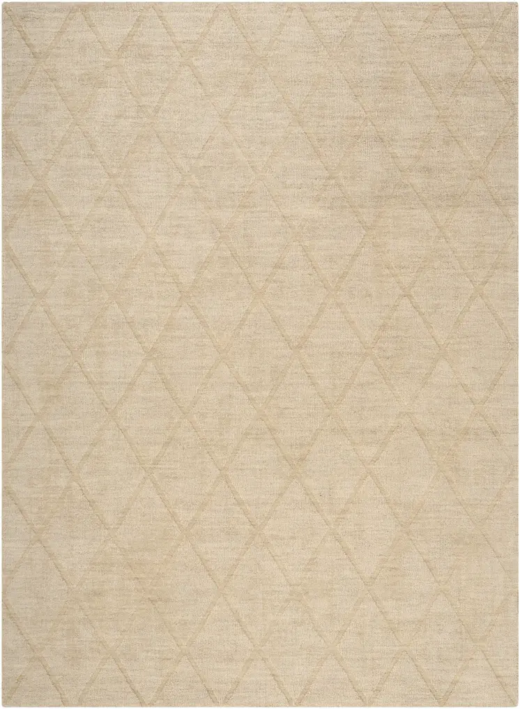 4' X 6' Beige Wool Geometric Area Rug