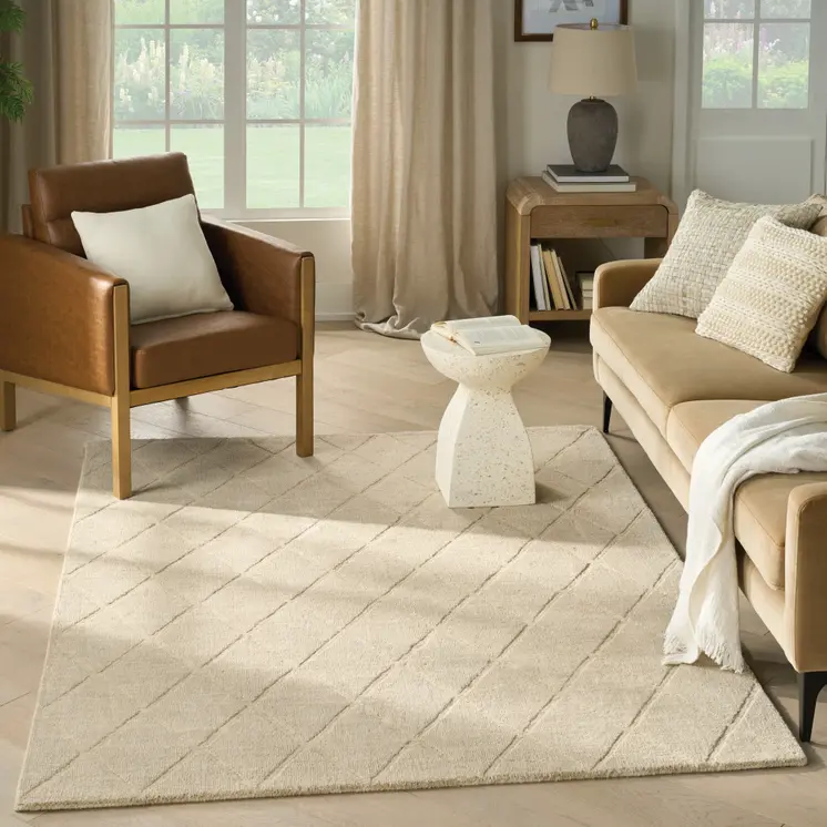4' X 6' Beige Wool Geometric Area Rug