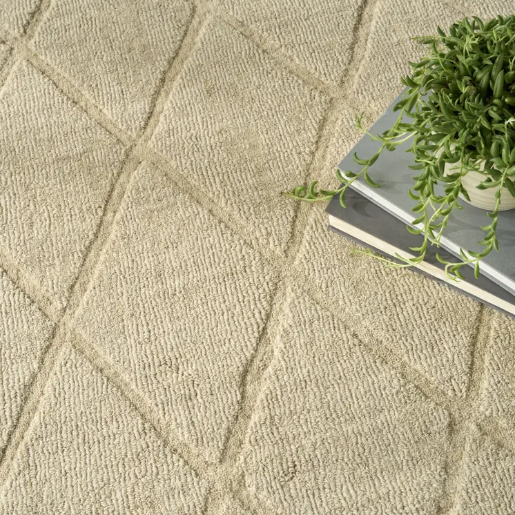 4' X 6' Beige Wool Geometric Area Rug