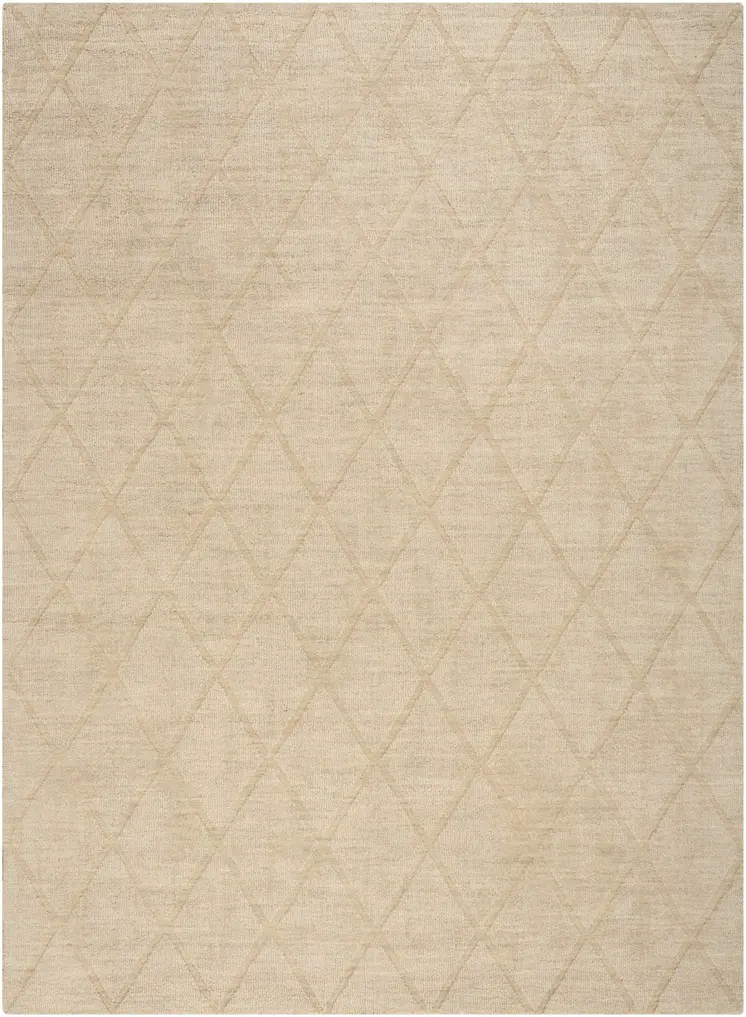 5' X 7' Beige Wool Geometric Area Rug