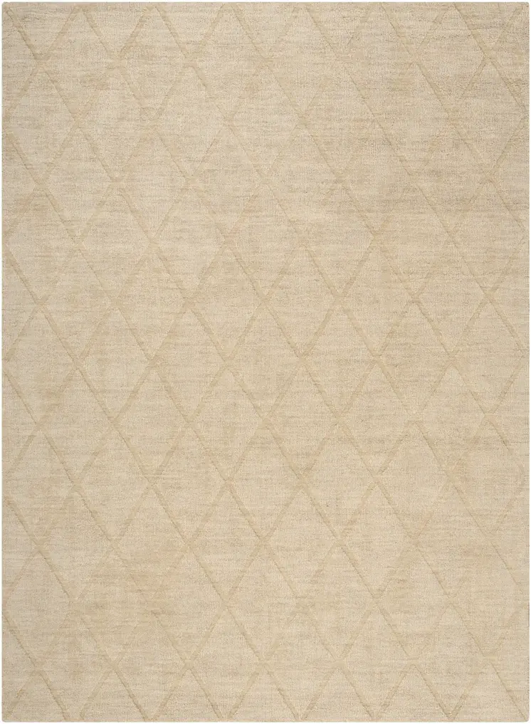 5' X 7' Beige Wool Geometric Area Rug