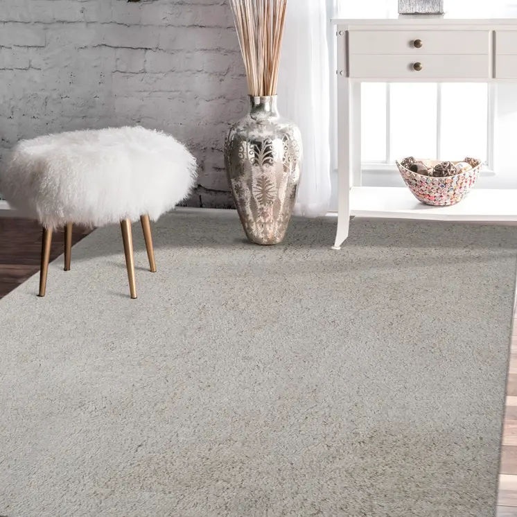2' X 3' Off White Shag Area Rug