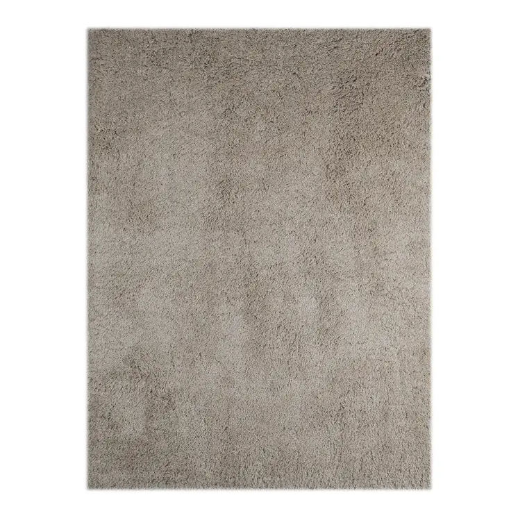 2' X 3' Champagne Shag Area Rug