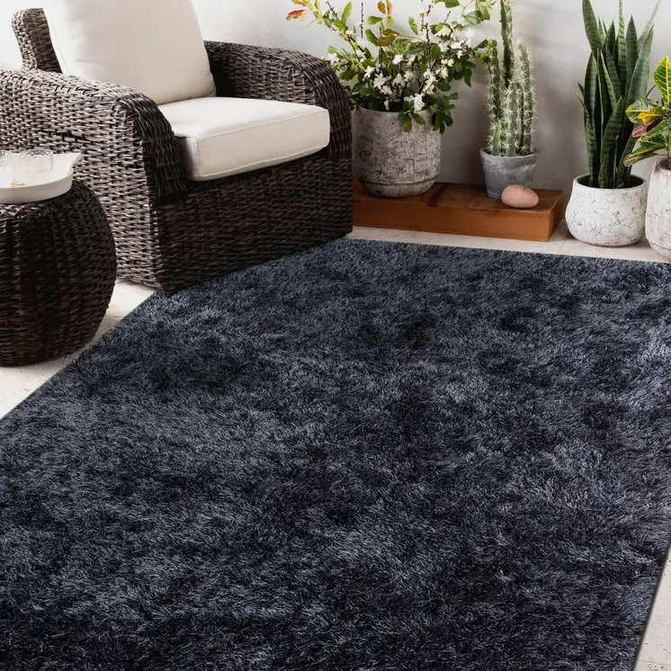 2' X 3' Black Area Rug